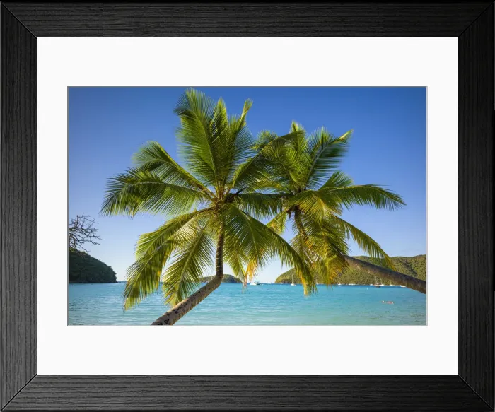 Framed Print : U. S. Virgin Islands, St. John, Trunk Bay, Trunk Bay Beach Framed Print : U. S. Virgin Islands, St. John, Trunk Bay, Trunk Bay Beach