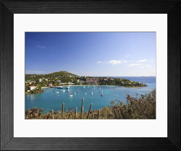 Framed Print : Caribbean, US Virgin Islands, St. John, Virgin Islands National Park, Lind Point trail Framed Print : Caribbean, US Virgin Islands, St. John, Virgin Islands National Park, Lind Point trail