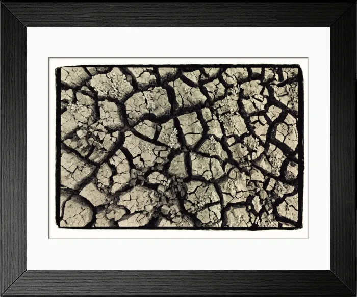 Framed Print : Dry, cracked, parched earth in South Luangwa Valley National Park, Zambia