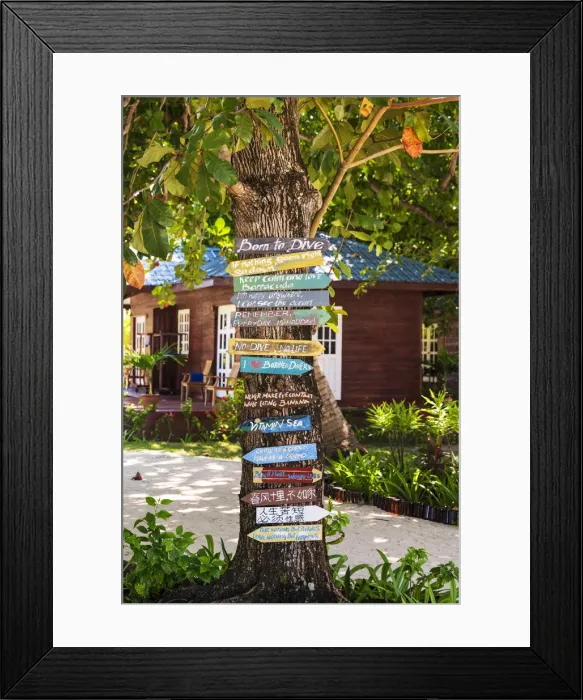 Framed Print : Pulau Mabul, Tun Sakaran Marine Park, Semporna, Sabah, Borneo, Malaysia Framed Print : Pulau Mabul, Tun Sakaran Marine Park, Semporna, Sabah, Borneo, Malaysia