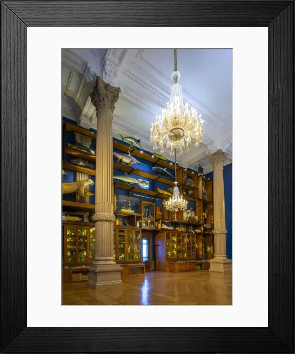 Framed Print : Oceanographic Museum of Monaco, Monte Carlo, Monaco Framed Print : Oceanographic Museum of Monaco, Monte Carlo, Monaco