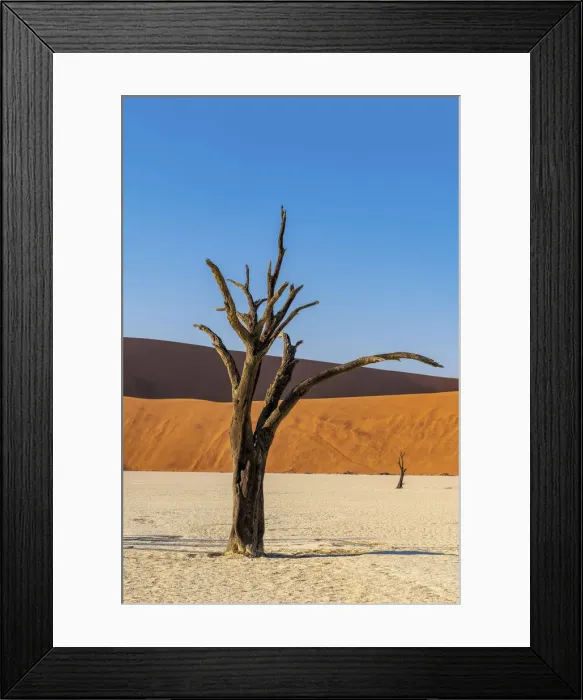 Framed Print : Old dead tree, Deadvlei, Namib-Naukluft National Park, Sesriem, Namibia Framed Print : Old dead tree, Deadvlei, Namib-Naukluft National Park, Sesriem, Namibia
