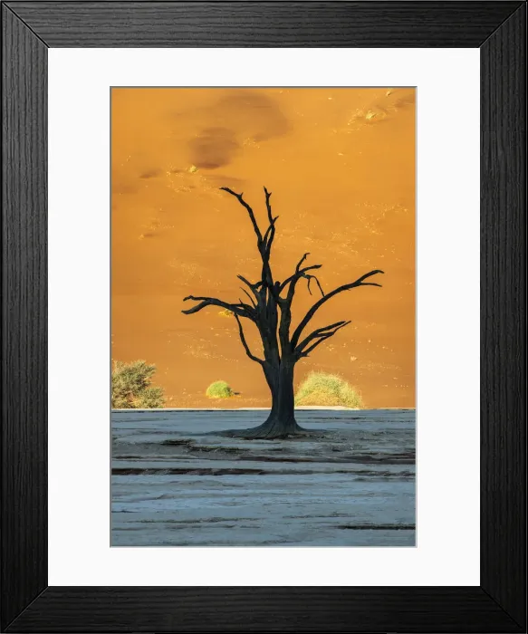Framed Print : Old dead tree, Deadvlei, Namib-Naukluft National Park, Sesriem, Namibia Framed Print : Old dead tree, Deadvlei, Namib-Naukluft National Park, Sesriem, Namibia