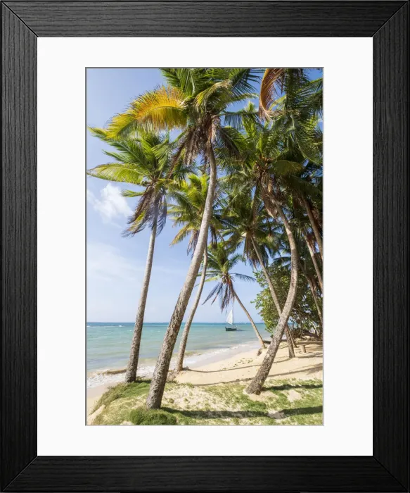 Framed Print : Americas, Central America, Nicaragua, South Caribbean Coast Autonomous Region Framed Print : Americas, Central America, Nicaragua, South Caribbean Coast Autonomous Region