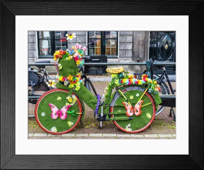 Framed Print : A bicycle decorated with butterflies and flowers in Amsterdam, the Netherlands Framed Print : A bicycle decorated with butterflies and flowers in Amsterdam, the Netherlands