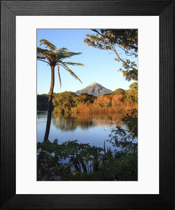 Framed Print : Early morning view of Mount Taranaki from Lake Mangamahoe, New Plymouth, New Zealand