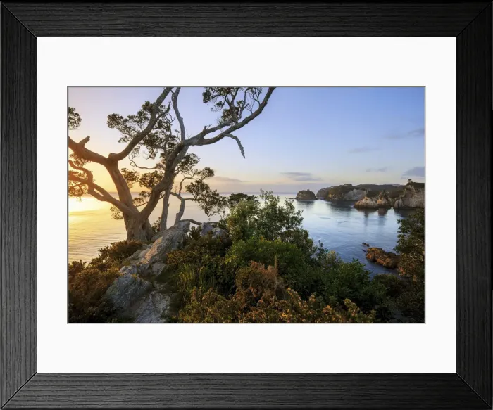 Framed Print : Sunrise at Tepare Point Reserve, Coromandel Peninsula, New Zealand Framed Print : Sunrise at Tepare Point Reserve, Coromandel Peninsula, New Zealand