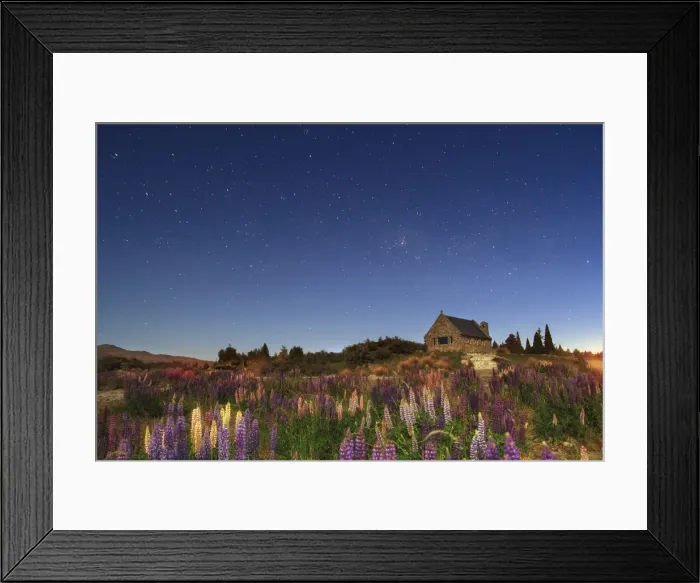 Framed Print : Lupins at night at Lake Tekapo, Canterbury, New Zealand Framed Print : Lupins at night at Lake Tekapo, Canterbury, New Zealand