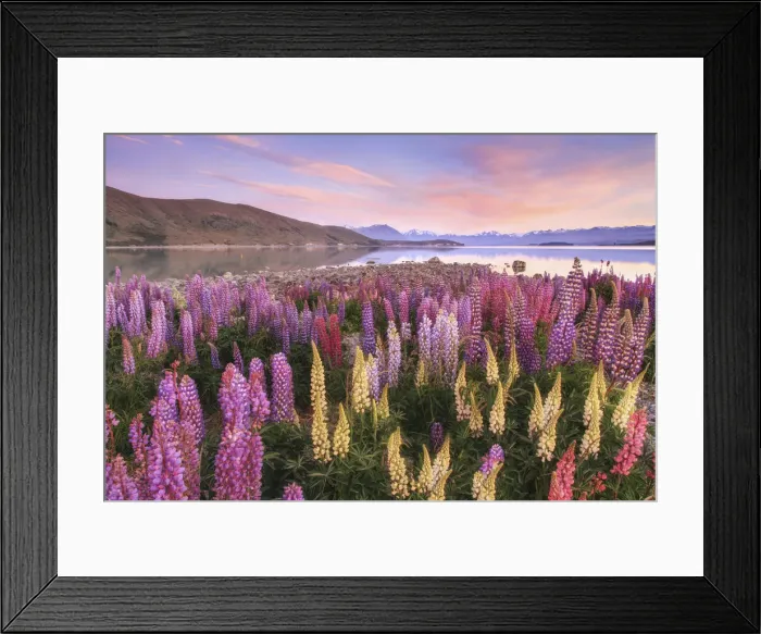Framed Print : Sunrisre at Lake Tekapo, Canterbury, New Zealand Framed Print : Sunrisre at Lake Tekapo, Canterbury, New Zealand