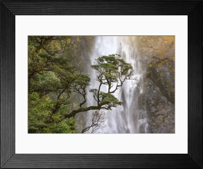 Framed Print : Devils Punchbowl Falls, near Arhurs Pass, new Zealand Framed Print : Devils Punchbowl Falls, near Arhurs Pass, new Zealand