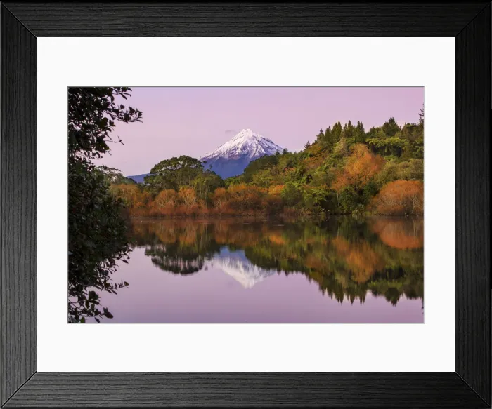 Framed Print : Mount Taranaki reflections from Lake Mangamahoe, New Plymouth Framed Print : Mount Taranaki reflections from Lake Mangamahoe, New Plymouth