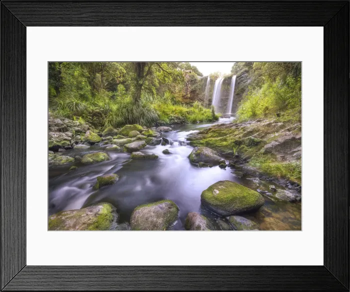 Framed Print : Whangarei Falls, New Zealand Framed Print : Whangarei Falls, New Zealand