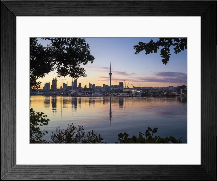 Framed Print : Sunrise from Westhaven marina, Auckland, New Zealand Framed Print : Sunrise from Westhaven marina, Auckland, New Zealand
