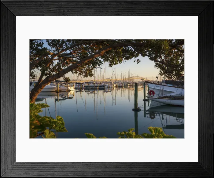 Framed Print : Sunrise from Westhaven marina, Auckland, New Zealand Framed Print : Sunrise from Westhaven marina, Auckland, New Zealand