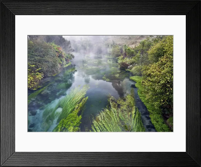 Framed Print : Blue Springs Te Waihou Walkway, Waikato, New Zealand