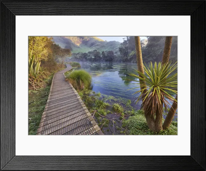 Framed Print : Blue Springs Te Waihou Walkway, Waikato, New Zealand Framed Print : Blue Springs Te Waihou Walkway, Waikato, New Zealand