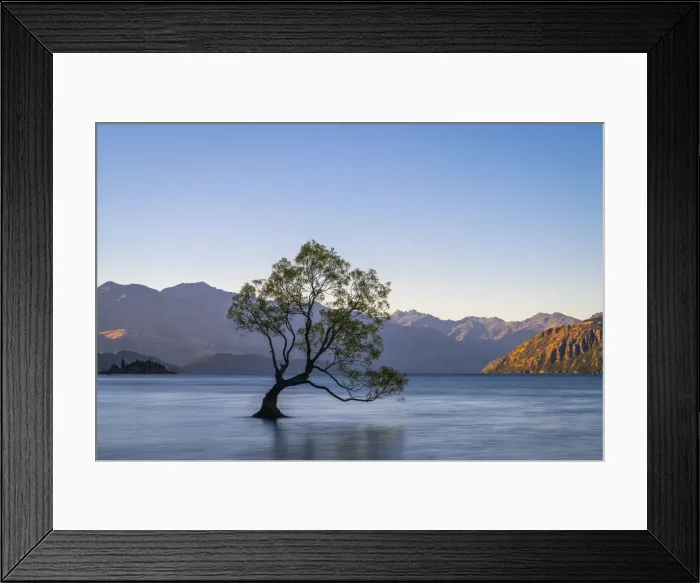 Framed Print : Lone tree in Roys Bay on Wanaka Lake against clear sky during sunset, Wanaka Framed Print : Lone tree in Roys Bay on Wanaka Lake against clear sky during sunset, Wanaka