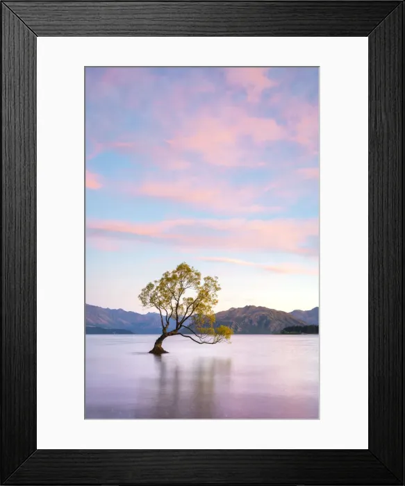 Framed Print : Lone tree in Roys Bay on Wanaka Lake against sky at sunrise, Wanaka Framed Print : Lone tree in Roys Bay on Wanaka Lake against sky at sunrise, Wanaka
