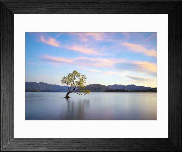 Framed Print : Popular lone tree in Roys Bay on Wanaka Lake against sky at sunrise, Wanaka