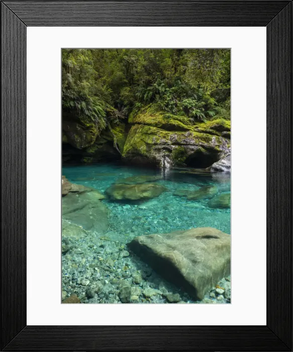 Framed Print : Cleddau River near The Chasm Viewing Bridge close to Milford Sound in Fiordland National Framed Print : Cleddau River near The Chasm Viewing Bridge close to Milford Sound in Fiordland National