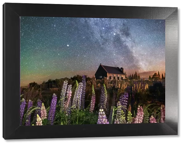 Night view of the Church of the Good Shepherd by Tekapo Lake with lupins in bloom