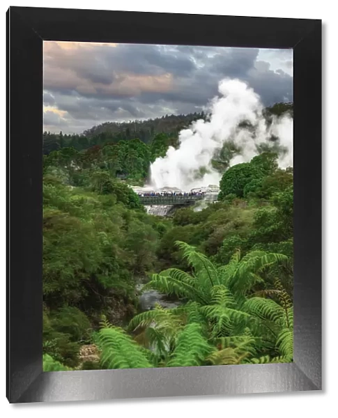 A geyser in Whakarewarewa park in Rotorua, New Zealand