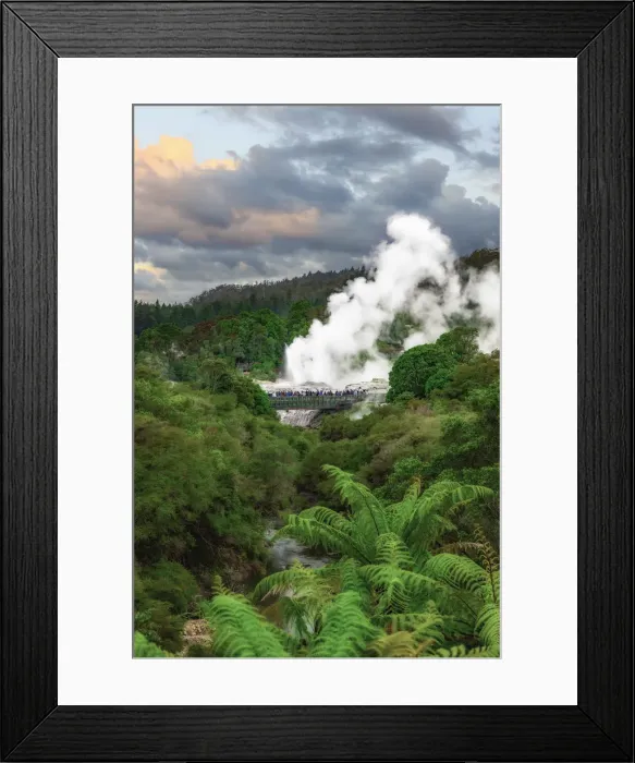 Framed Print : A geyser in Whakarewarewa park in Rotorua, New Zealand Framed Print : A geyser in Whakarewarewa park in Rotorua, New Zealand