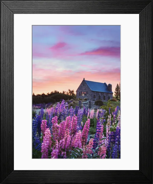 Framed Print : The church of the Good Shepherd with lupins in bloom by the lake at sunrise at Tekapo