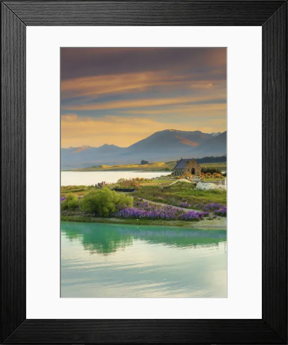 Framed Print : The Church of the Good Shepherd and Tekapo lake with lupins in bloom by the lake