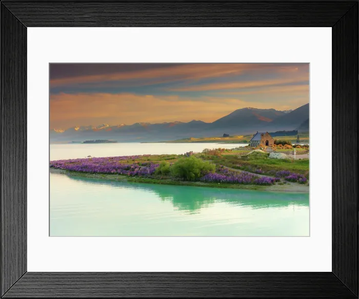 Framed Print : The Church of the Good Shepherd and Tekapo lake with lupins in bloom by the lake