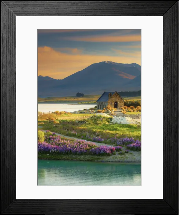 Framed Print : The Church of the Good Shepherd and Tekapo lake with lupins in bloom by the lake Framed Print : The Church of the Good Shepherd and Tekapo lake with lupins in bloom by the lake