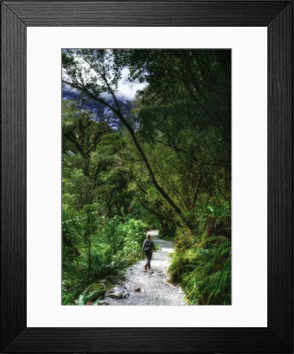 Framed Print : A woman wolking on a path through the forest in the Fjordland National Park, New Zealand Framed Print : A woman wolking on a path through the forest in the Fjordland National Park, New Zealand