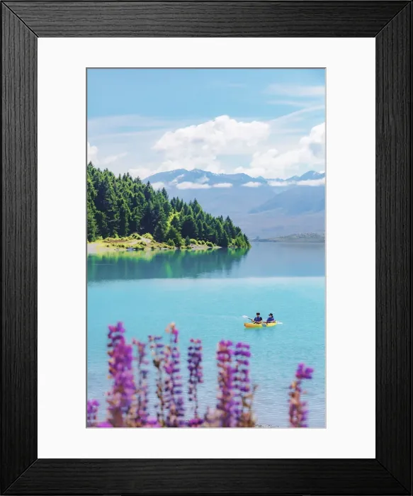 Framed Print : A coupld of asiasn riding the kayak in Tekapo lake on a sunny day with lupins in bloom Framed Print : A coupld of asiasn riding the kayak in Tekapo lake on a sunny day with lupins in bloom