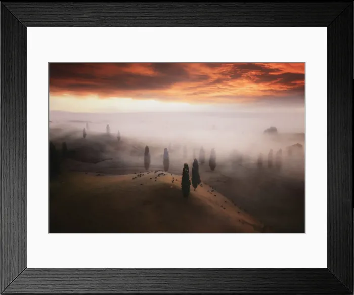 Framed Print : Aerial view of the rolling hills near Matamata at sunrise Framed Print : Aerial view of the rolling hills near Matamata at sunrise