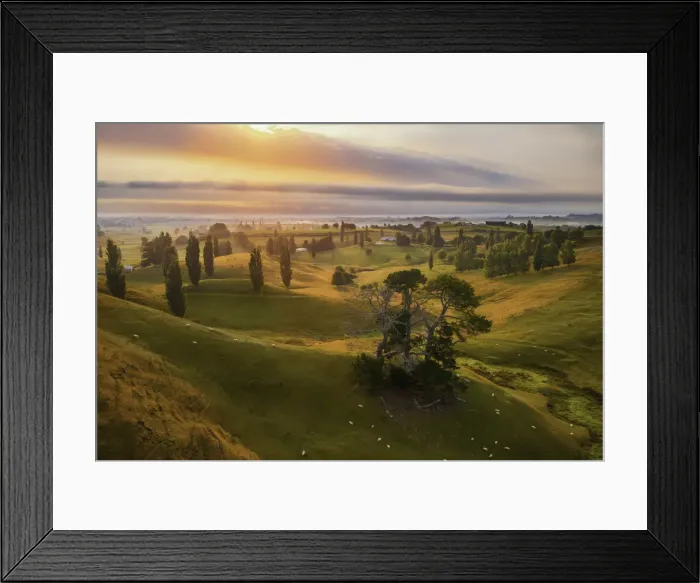 Framed Print : Aerial view of the rolling hills near Matamata at sunrise Framed Print : Aerial view of the rolling hills near Matamata at sunrise