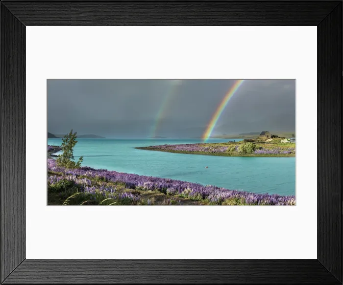 Framed Print : Double rainbow in Tekapo lake with the lupins in bloom and the church of the Good