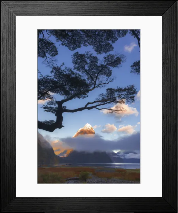 Framed Print : Mitre Peak reflecting in the fjord water at sunset at Milford Sound in New Zealand