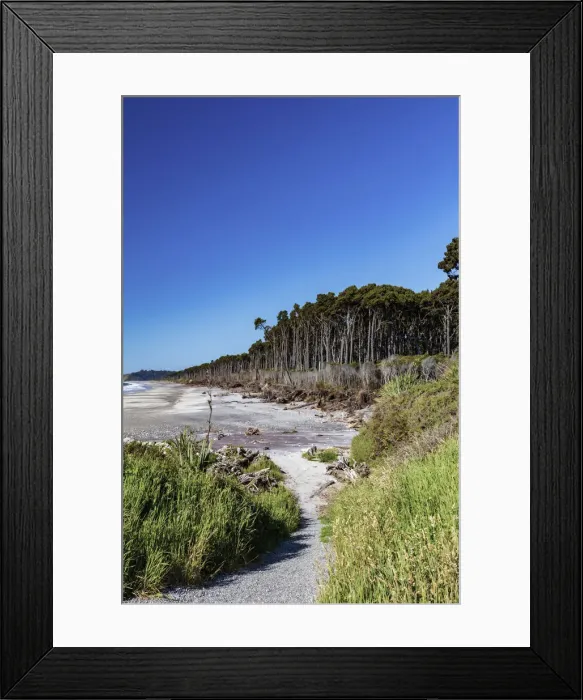 Framed Print : Forest by the seashore along the rugged west coast, South Island, New Zealand Framed Print : Forest by the seashore along the rugged west coast, South Island, New Zealand