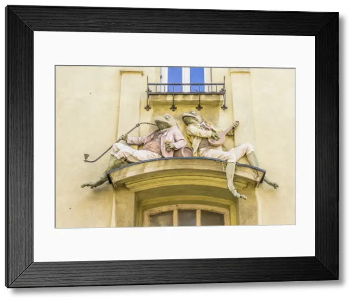 Framed Print : The Art Nouveau Frog building in Bielsko Biala, Silesian Voivodeship, Poland