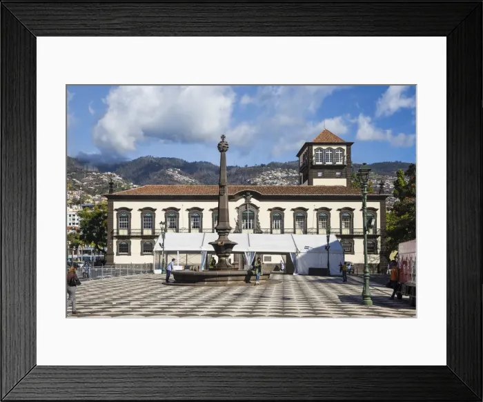Framed Print : Portugal, Madeira, Funchal, Town Hall Square, City Hall