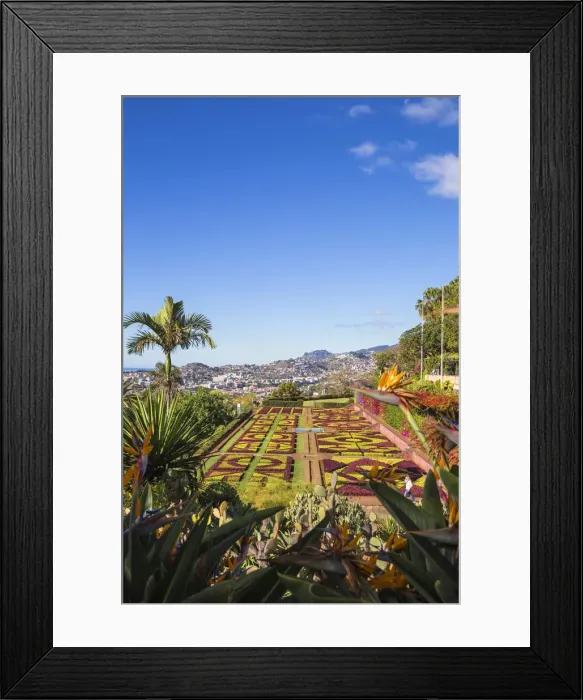 Framed Print : Portugal, Madeira, Funchal