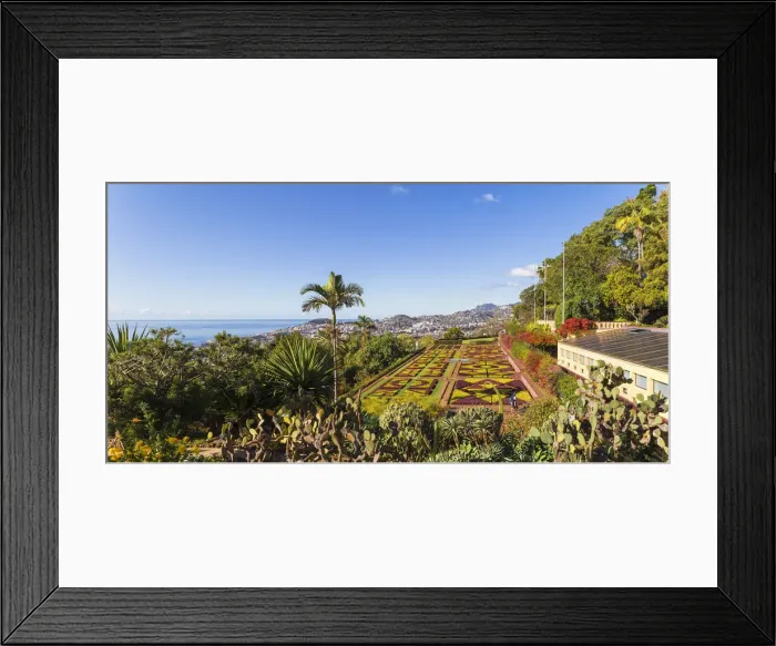 Framed Print : Portugal, Madeira, Funchal, Monte, Botanical Gardens