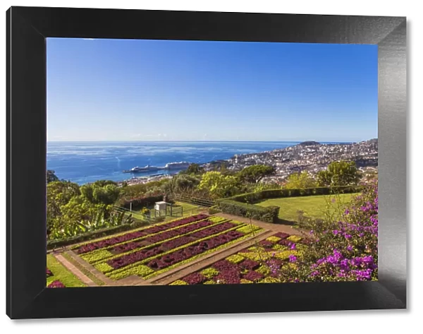 Portugal, Madeira, Funchal, Monte, Botanical Gardens