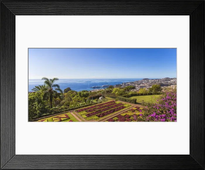 Framed Print : Portugal, Madeira, Funchal, Monte, Botanical Gardens Framed Print : Portugal, Madeira, Funchal, Monte, Botanical Gardens