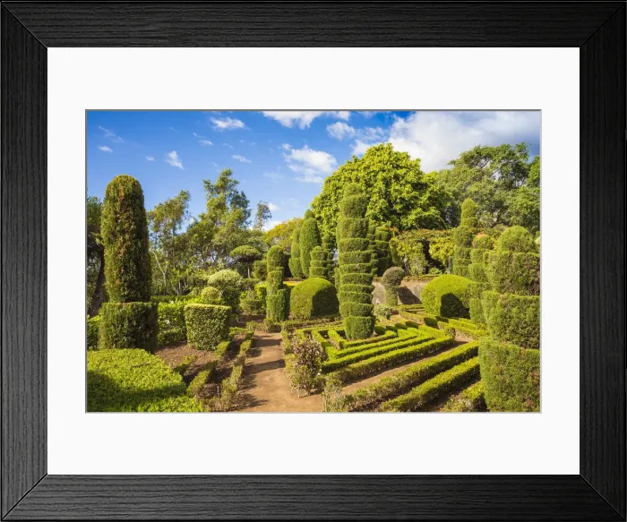Framed Print : Portugal, Madeira, Funchal, Monte, Botanical Gardens Framed Print : Portugal, Madeira, Funchal, Monte, Botanical Gardens