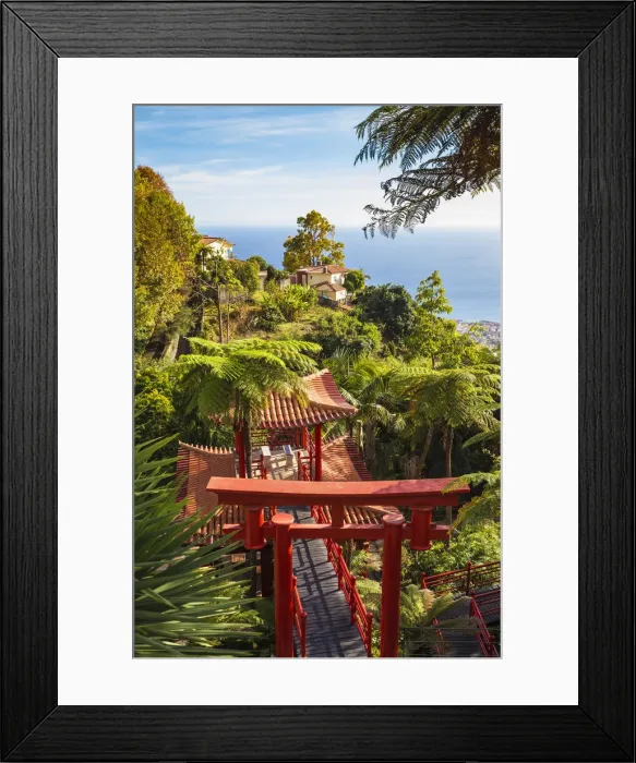 Framed Print : Portugal, Madeira, Funchal, Monte, Monte Palace Tropical Garden, Oriental Gardens