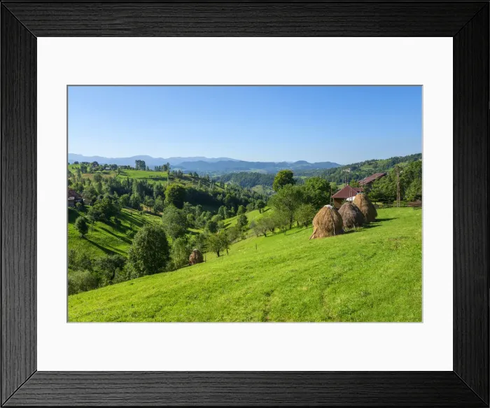 Framed Print : Hay stacks at Magura, Craiului National Parc, Transylvania, Romania Framed Print : Hay stacks at Magura, Craiului National Parc, Transylvania, Romania