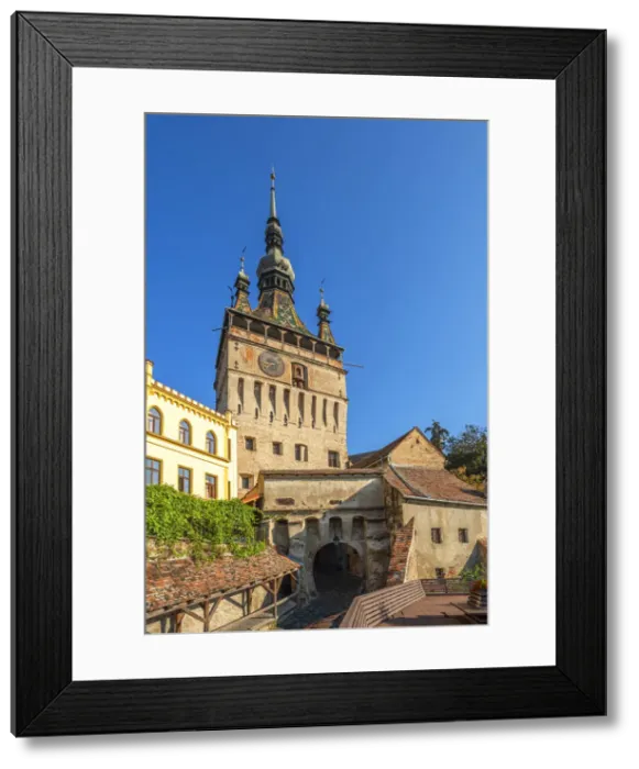 Framed Print : The Clock Tower, Unesco World Heritage Site, Sighisoara, Transylvania, Romania Framed Print : The Clock Tower, Unesco World Heritage Site, Sighisoara, Transylvania, Romania