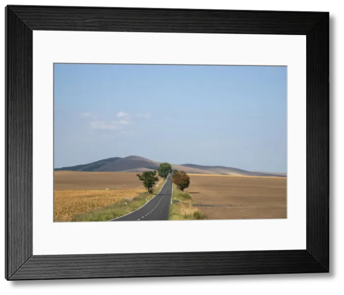 Framed Print : Landscape in the Danube Delta close to Tulcea, Dobrudscha, Romania