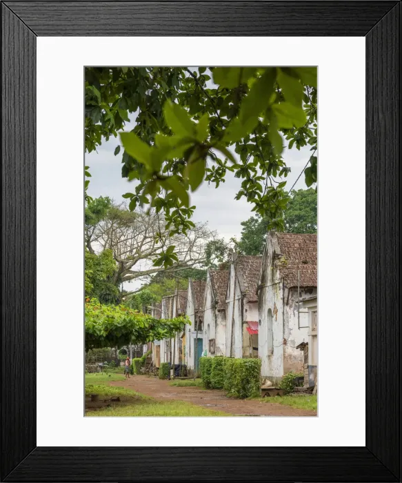 Framed Print : Africa, SA£o Toma and Principe. The workers houses of Roca Sundy Framed Print : Africa, SA£o Toma and Principe. The workers houses of Roca Sundy